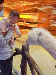 -酷嗒动物文化乐园(cutezoo西溪乐天城店)