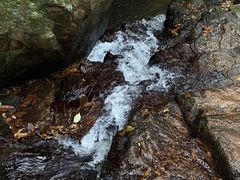 -阳台山森林公园