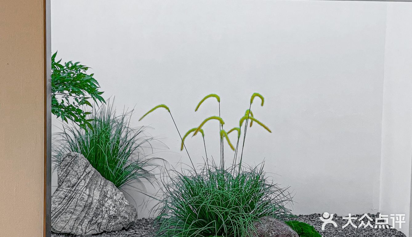 广州探店｜为了这口哈密瓜🍈榴莲千层🍰我愿意每周跑科学城‼️