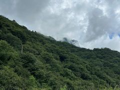 -秦岭风景区