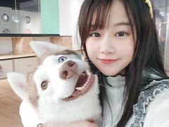 -Husky Go! 哈士奇体验馆·宠物咖啡厅狗咖