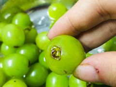 -鲜力达果品批发直销(无锡保利香槟店)