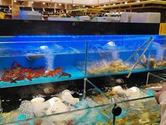 -苏格里岛自助烤肉海鲜火锅(成都金牛万达店)