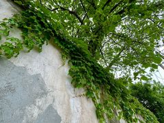 -江苏省黄埭中学