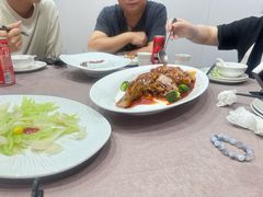 -丁老爷子苏香圆
