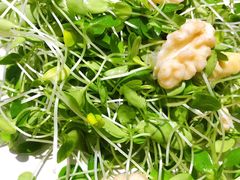 香椿苗核桃仁-朵朵开素食餐厅(后宰门街店)