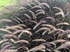 -深圳市人才园(深南大道店)