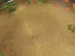 -海银海记潮汕牛肉火锅(新港中路海珠店)