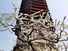 -玲珑塔公园