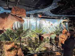 -陕西自然博物馆