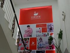 -天鹅到家·保姆月嫂育儿嫂(朝阳店)