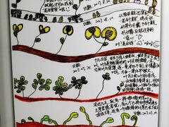 景点-上海昆虫博物馆