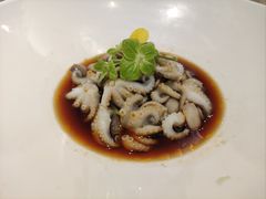 捞汁八爪鱼-苏城小院·园林精致苏州菜(斜塘老街店)