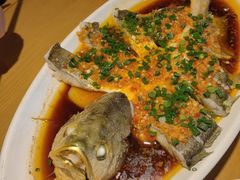 -大鸽饭(马王堆店)
