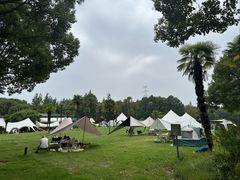 -希尔顿逸林大酒店-随园中餐厅(新区店)