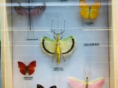 -大连自然博物馆