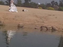-瑶湖郊野森林公园