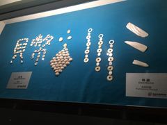 -青岛贝壳博物馆