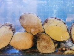 -如一鸡鲍鱼·粤式煲汤(长泰广场店)