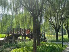 -北坞公园