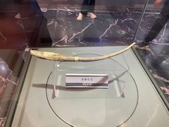 -嘉荫恐龙国家地质公园