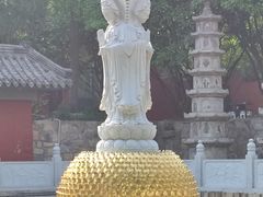 -泰山风景名胜区-普照寺