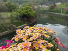 -苏州上方山国家森林公园