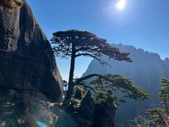 -黄山风景区