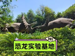 -中华恐龙园