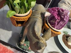 -慢丽江·云南野生菌土鸡锅(付家庄店)