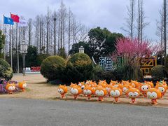 -上海长兴岛郊野公园