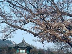 -景福宫