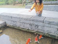 -南宁荔园维景国际酒店·荔园中餐厅
