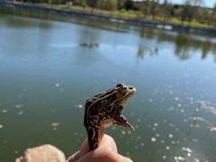 -长春世界雕塑园冰雪艺术天地