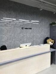 -INS羽毛接发·巴黎画染