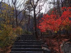 -崂山九水游览区