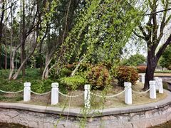 -外高桥保税区南(地铁站)