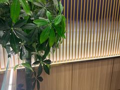 -京都蝎府羊蝎子火锅(珠市口店)