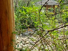 -武清南湖绿博园