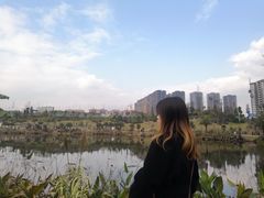 -枫香湖儿童公园