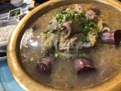 -食家鸽园