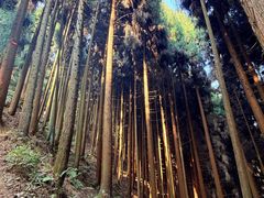 -太阳湾风景区