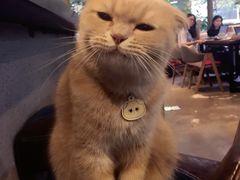 -咖法森林·咖啡  酒吧(天河店)