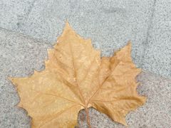 -大连双兴商品城