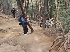 -灵岩山风景区