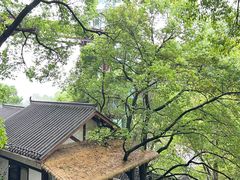 -巴倒烫陆派火锅山庄(南山总店)