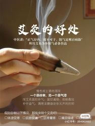 -YESIDO椰岛美容