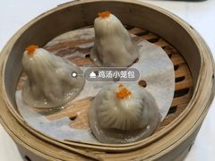 -千灯盛汇·头牌粤菜(致越优城店)