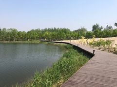 -东郊湿地公园