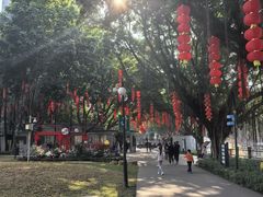 -晓港公园